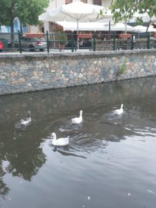 Γιαλύτη Φραντζέσκα - 1ο ΕΠΑΛ Φλώρινας / a