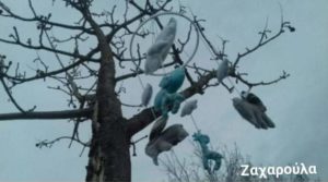 Ρουσίδου Ζαχαρούλα - 1ο ΕΠΑΛ Φλώρινας / a