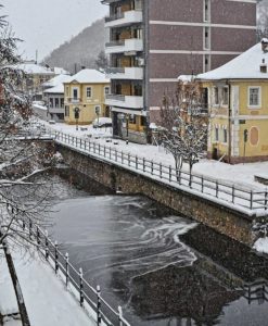 Μητρεβόλη Κωνσταντίνα - 1ο ΕΠΑΛ Φλώρινας / a